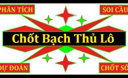 tính bạch thủ đề