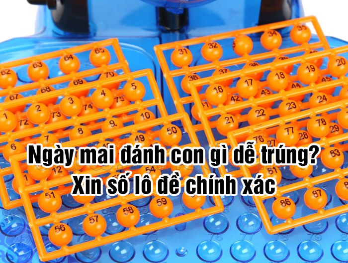 ngay-mai-danh-con-gi-de-trung